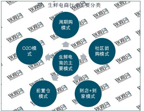 2023生鲜电商分析 随着行业市场规模也在不断扩容市场前景可观